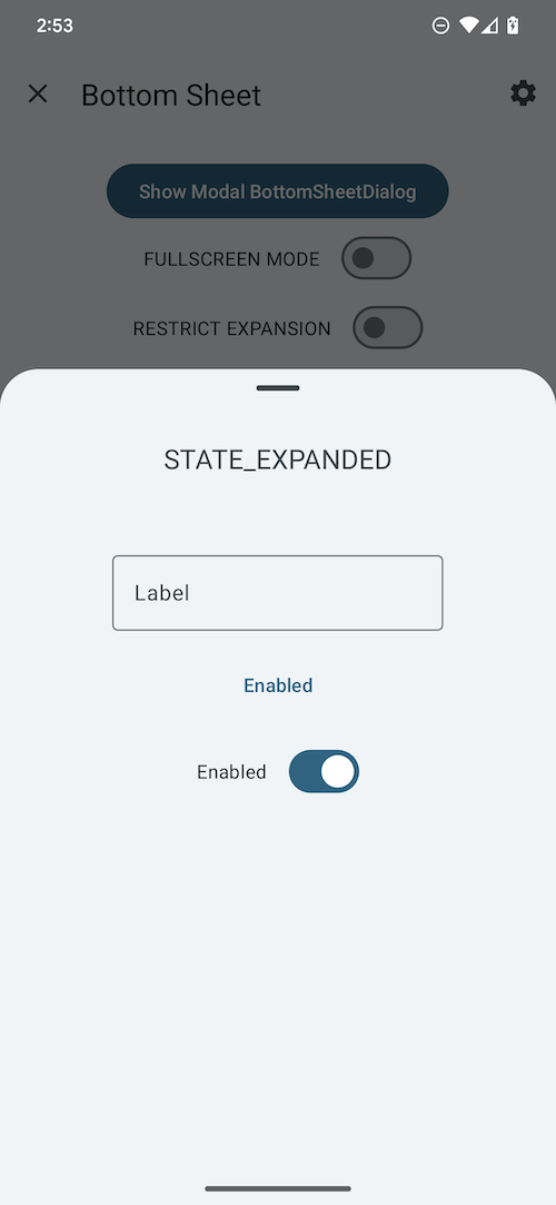 Modal expanded bottom sheet example.